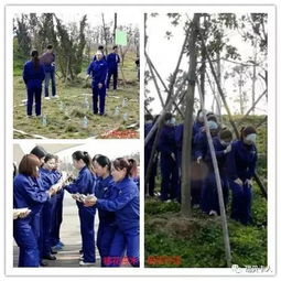 展主业前进气势，亮瑞贝卡人风采——发制品股份公司拓展训练第二波再燃团队激情