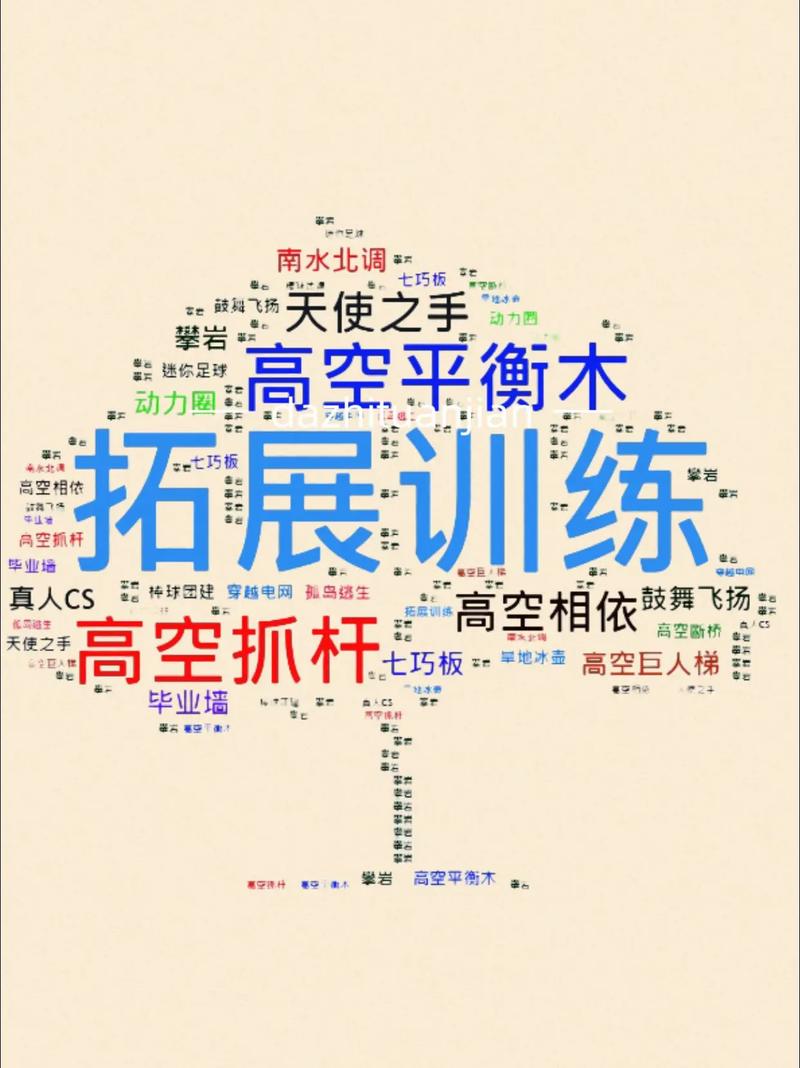 一张图揭示 拓展训练的多元世界，项目背后的成长密码