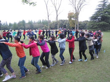 拓展训练 激发团队潜能，铸就卓越团队